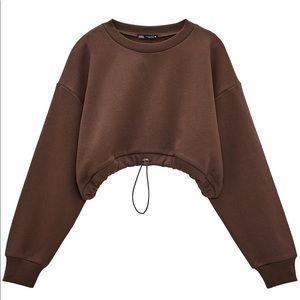Zara Chocolate Brown Cropped Sweatshirt